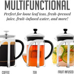 Glass Tea Maker with High Grade Removable Stainless Steel Infuser, 27 Ounce Teapot with Heat Tempered Borosilicate Glass and Silicone Handle, Compact Portable with Free Measuring Scoop, FGC27T