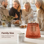 304 Stainless Steel Extra Large Tea Strainers for Loose Tea Extra Fine Mesh Tea Infuser (2 Pack)